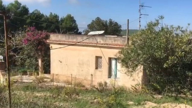 Visione frontale